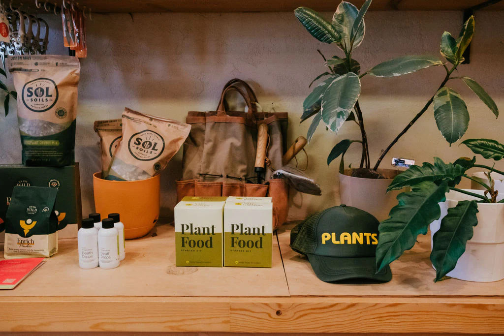 Elevate Your Home Sanctuary